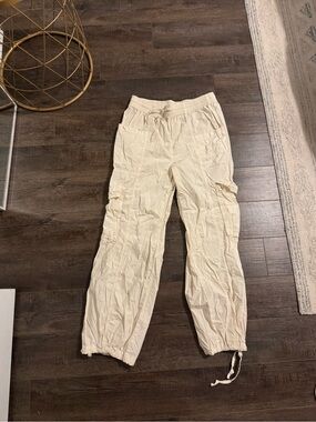 aerie Cream Cargo Jogger Pants for Men